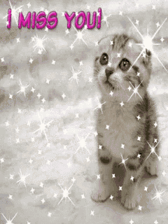 a picture of a kitten with the words i miss you on it
