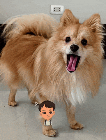 a small dog with its tongue hanging out is standing next to a boy