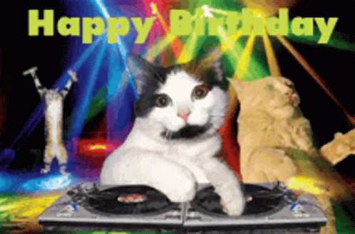 Happy Birthday To You Cat GIF - Happy Birthday To You Cat Dj GIFs