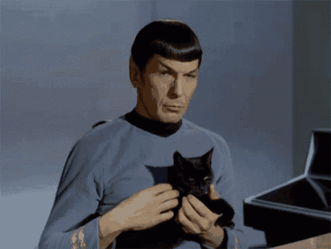 Startrek Spock GIF - Startrek Spock Cat GIFs