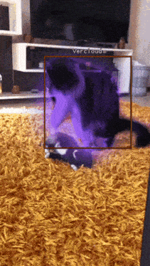 a picture of a cat on a rug with vercloud written on the corner