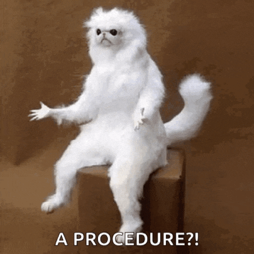 a white cat is sitting on a box with the words `` a procedure ? '' written on the bottom .