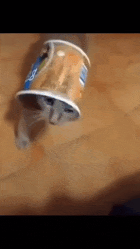 a cat 's head is sticking out of a yogurt can