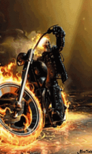 Love This Movie Ghost Rider GIF