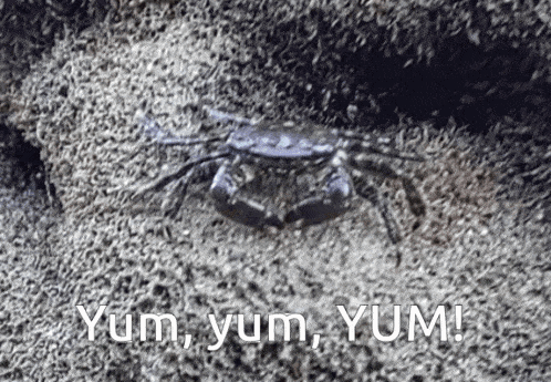 a picture of a crab with the words yum yum yum written below it