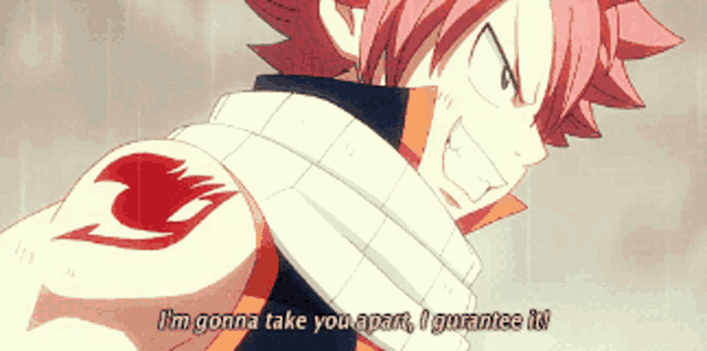 a fairy tail character is saying " i 'm gonna take you apart i guarantee it "