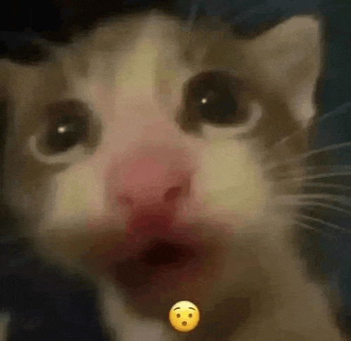 a close up of a cat 's face with a red nose and a smiley face .