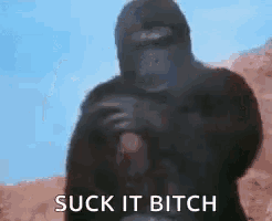 a gorilla is standing in the desert with the words `` suck it bitch '' above him .