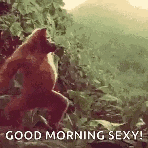 a monkey is standing in the woods with the words `` good morning sexy '' written below it .