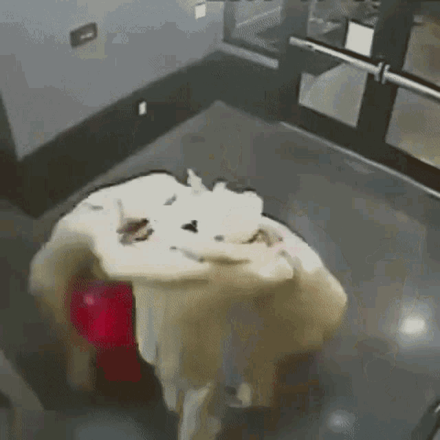a person is laying on a table in a room with a door behind them .