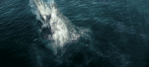 a large body of water with a lot of waves coming in