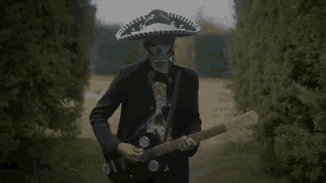 a man in a sombrero is playing a guitar .