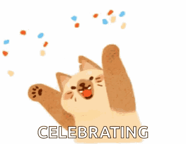 a cat is celebrating with confetti in the air and throwing it up in the air .