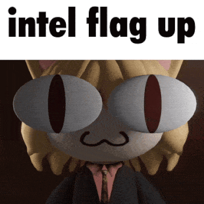 a picture of a cat with the words intel flag up