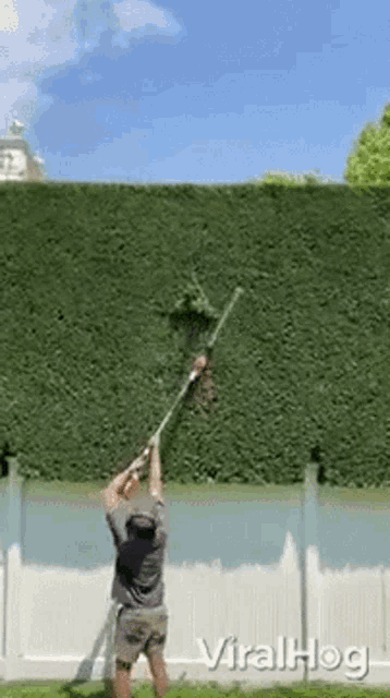 a man is trimming a hedge with a lawn mower .