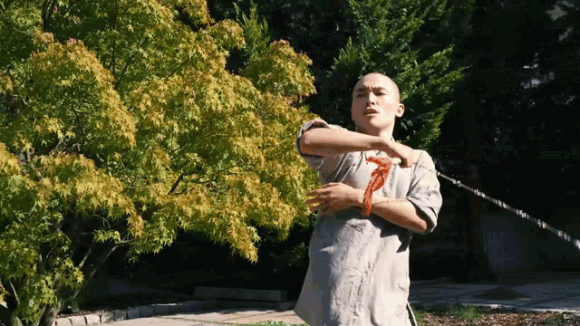 a man in a gray shirt is standing in front of a tree with a red ribbon around his neck