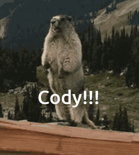 Cody GIF - Cody GIFs