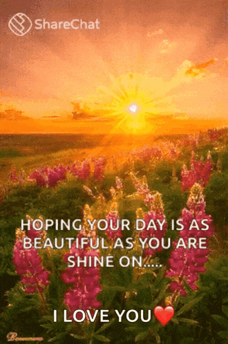 a sunset over a field of flowers with the words " hoping your day is as beautiful as you are shine on ... "