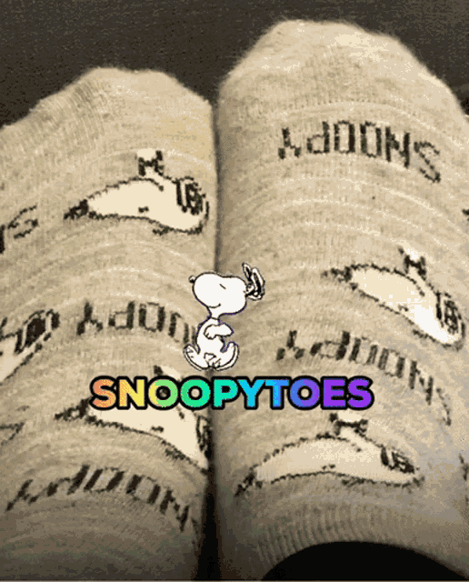 a pair of snoopy socks that say snoopytoes on the bottom