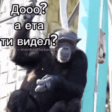 a picture of a chimpanzee with a caption that says dooo a eta ti videl