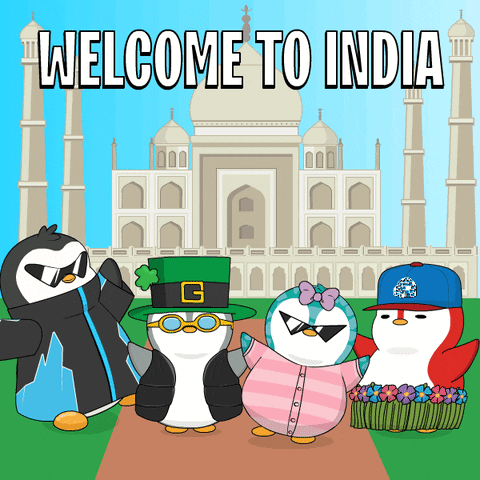 India Indian GIF - India Indian Penguin GIFs