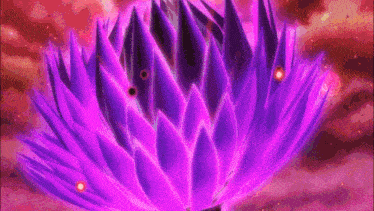 a close up of a purple flower with a pink background