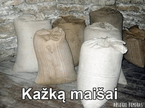 a bunch of bags are sitting on a wooden floor .