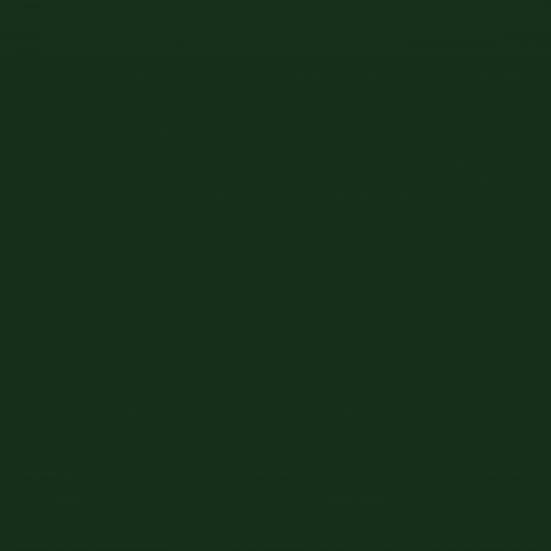 a daily reminder for hi noah wilson is displayed on a green background