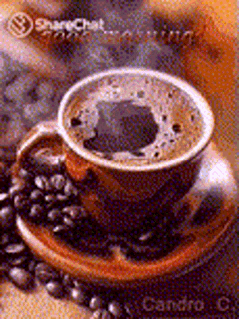 a cup of coffee is sitting on top of a saucer surrounded by coffee beans .