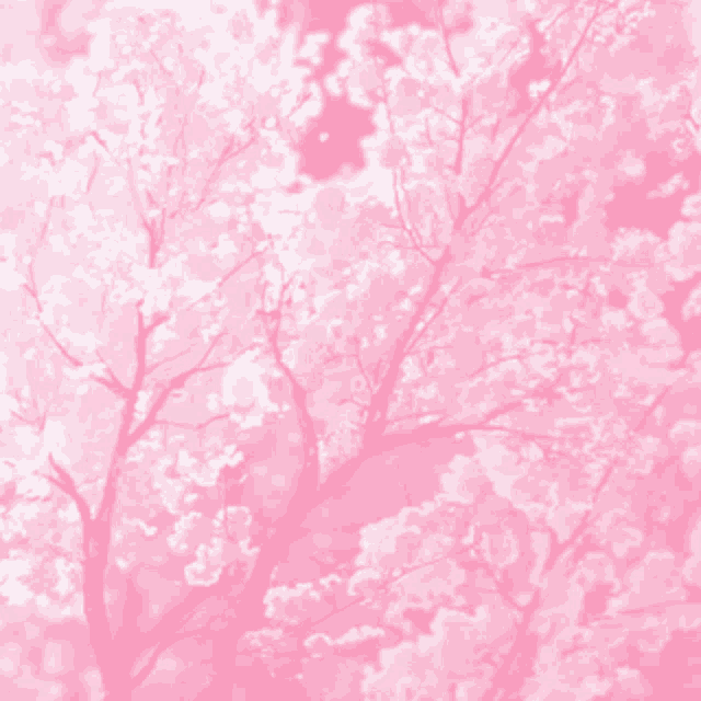 a pink background with a tree with white flowers on it