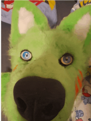 a green stuffed animal with blue eyes is laying on a bed