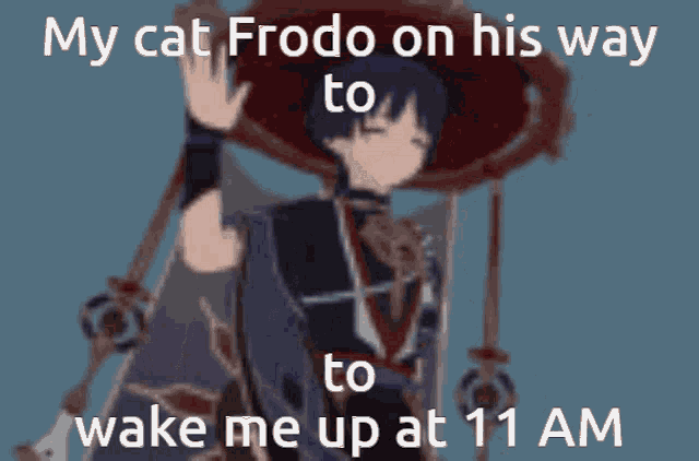 Frodo Cat GIF