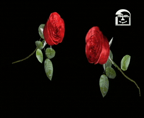 two red roses with green leaves on a black background with a smiley face in the corner