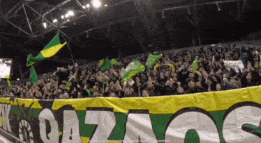 a crowd of people in a stadium with a banner that says monaco on it