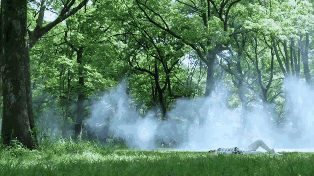 a person laying in the grass with smoke coming out of the trees in the background