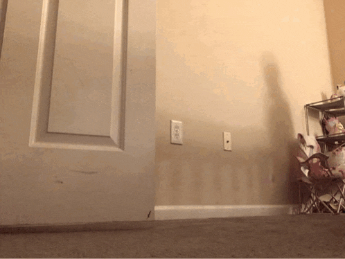 a shadow of a person is cast on a wall next to a door