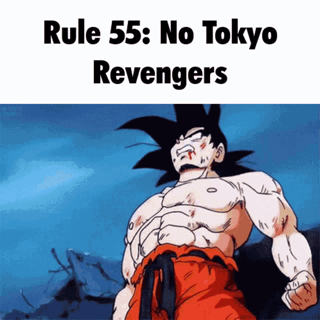 a picture of a cartoon character with the words rule 55 : no tokyo revengers
