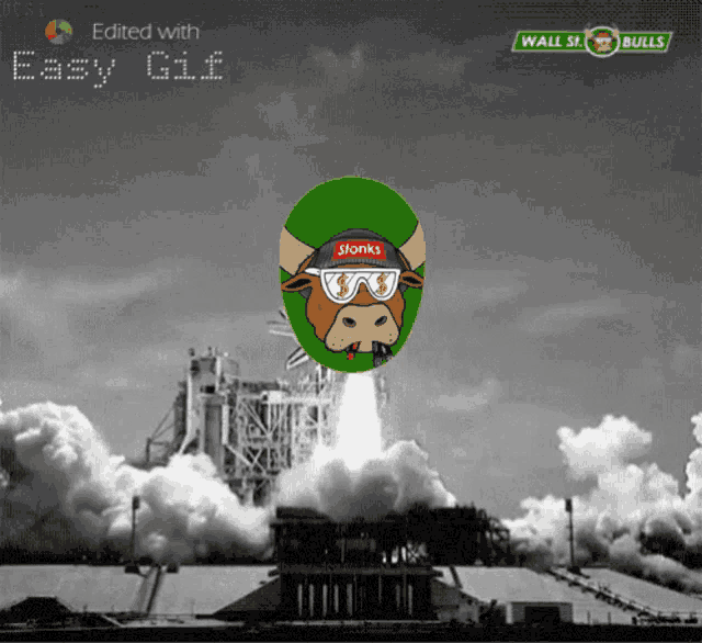 a rocket is being launched with a picture of a cow wearing sunglasses and a hat that says ' stonks '