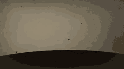 a group of mosquitoes are flying in the sky over a dark field .