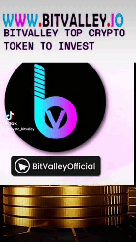 Bitvalley Bitv GIF - Bitvalley Bitv Invest GIFs