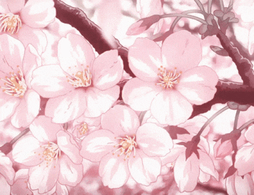 a bunch of pink flowers are hanging from a tree