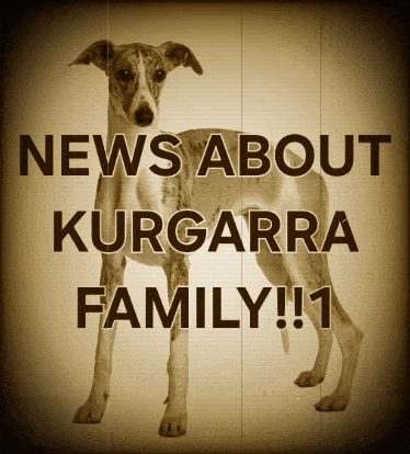 a poster with a dog and the words news about kurgarra family 1