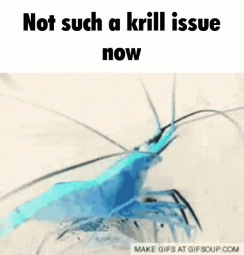 Shrimple Krill Issue GIF - Shrimple Krill Issue Krill GIFs