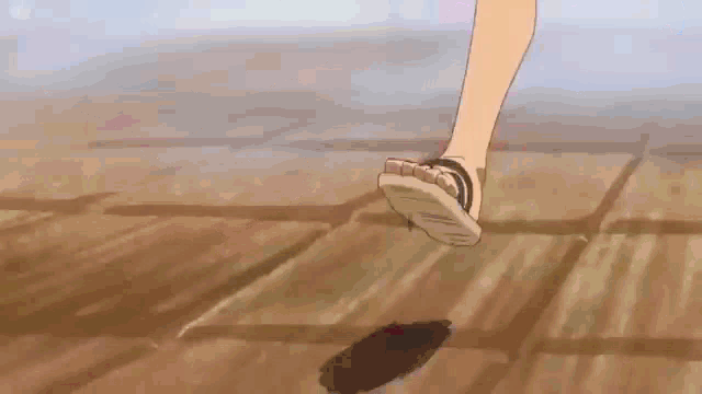 a person is walking on a wooden floor in sandals .