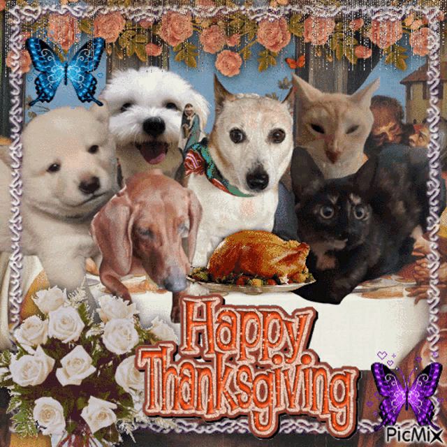 a group of dogs and cats sitting at a table with a plate of food and the words happy thanksgiving