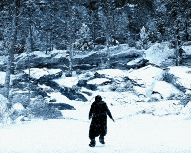 a person walking through a snowy forest with trees covered in snow