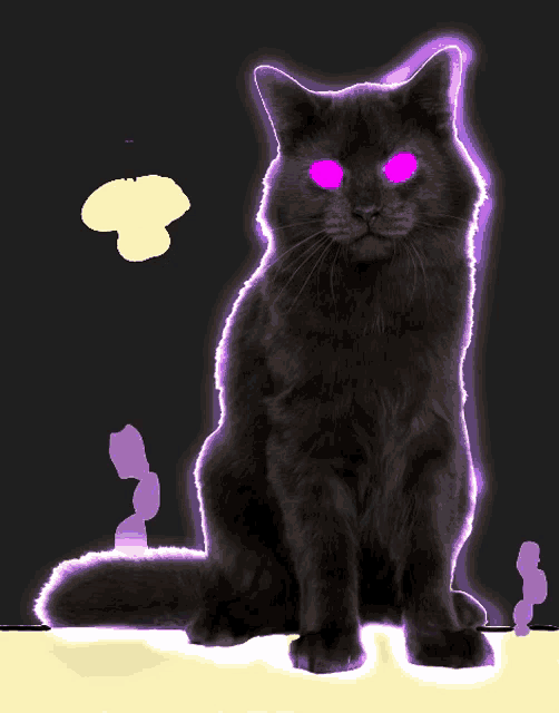 a black cat with pink eyes and a purple outline around it