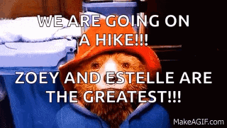 a teddy bear wearing a red hat and a blue jacket says we are going on a hike !!!