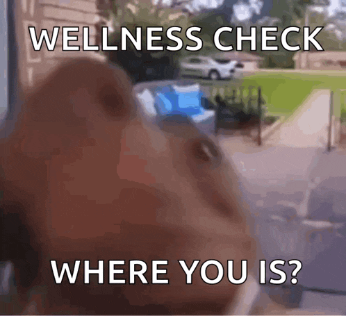 a dog is looking out a window with the words wellness check where you is written above it