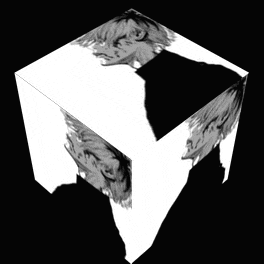 a black and white drawing of a person 's face